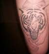 TIGER LEG tattoo