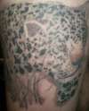 leopard tattoo