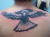 Magpie tattoo