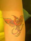 Phoenix tattoo