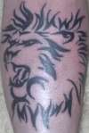 Tribal lion tattoo
