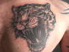 TIGER CHEST PIECE tattoo