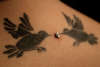 Crows tattoo