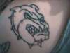 heres the bull dog on my cousin tattoo