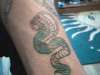 this is a cobra i did tattoo