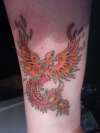 My Phenix tattoo