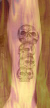 my skulls with flames tattoo
