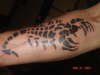 Tribal Scorpion tattoo