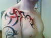 tribal tattoo