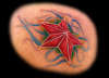 Nautical Star in a little different way tattoo