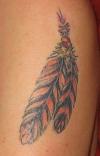 Indian Feather tattoo
