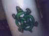 celtic turtle tattoo