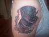 memorial tattoo of my dog Jazz