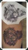 LION and LIONESS tattoo