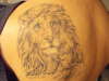 lion and the lamb tattoo