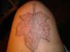 leaf tatt tattoo