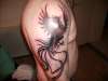 phönix tattoo