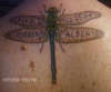 Dragonfly tribute to my kids tattoo