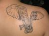 Elephants tattoo