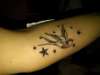 My Swallow! :) tattoo