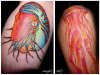 Nautilus jellyfish tattoo