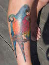 START BIRD leg end 2007 tattoo