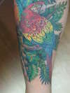 FOLIAGE  FOR THE lower leg ! tattoo