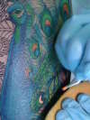 CLOSE UP OF   the peacocks ! tattoo