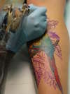 first pic of bird leg done 2 years ago -- tattoo