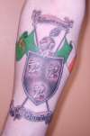 Irish coat of arms tattoo