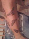 moths tattoo
