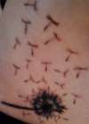 Dandelion tattoo
