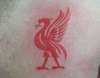 Liver Bird tattoo tattoo