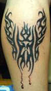Tribal Pheonix tattoo