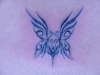 butterfly tattoo