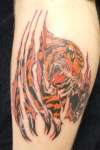 tiger tattoo