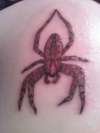 Ribs Spider tattoo