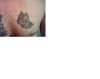 evil pit bull tattoo