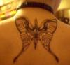 Metal Butterfly tattoo