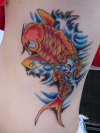 Koi tattoo