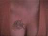 faded black rose tattoo