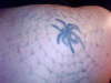 spider web/black widow/name tattoo