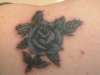 30 yr old rose tattoo