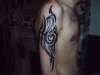Arm tribal tattoo