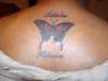 Butterfly tattoo