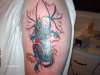 Dragon Tattoo