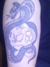 Snake n Skull tattoo