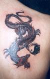 dragon by sasoo  www.sasoo.8m.com tattoo