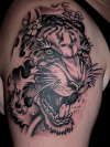 Tiger Tattoo LA Ink tattoo