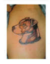 dog tat tattoo